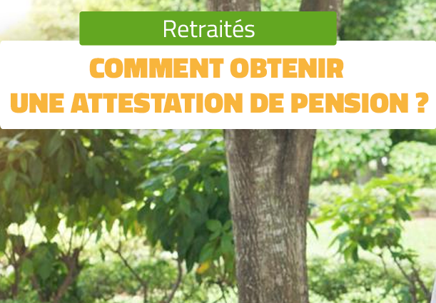 CIMR, Caisse Interprofessionnelle Marocaine de Retraite, COMMENT